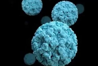 Detectan en Reino Unido un brote de norovirus: ¿qué es y cuáles son sus síntomas?